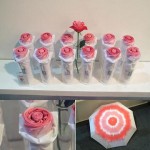 umb21 Rosy