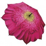 umb28 Cutebrella