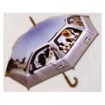 umb30_ Puppy ride