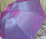 umbrella13 Purple power